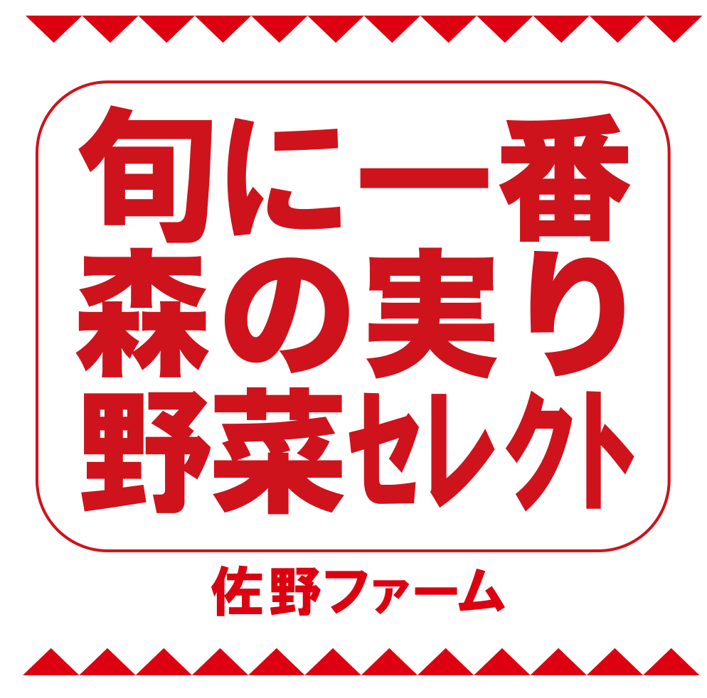 旬に一番森の実り野菜セレクト 佐野ファーム